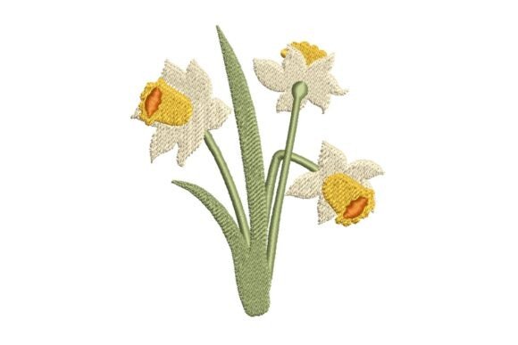 Elegant Daffodils Review
