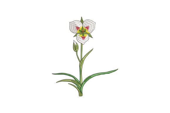 Sego Lily Bloom Review